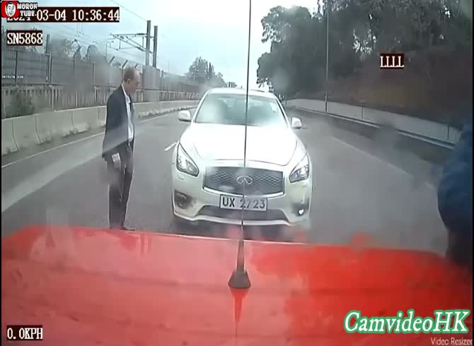 Video :It's not a good idea to stop in the middle of a fast lane for a cat
